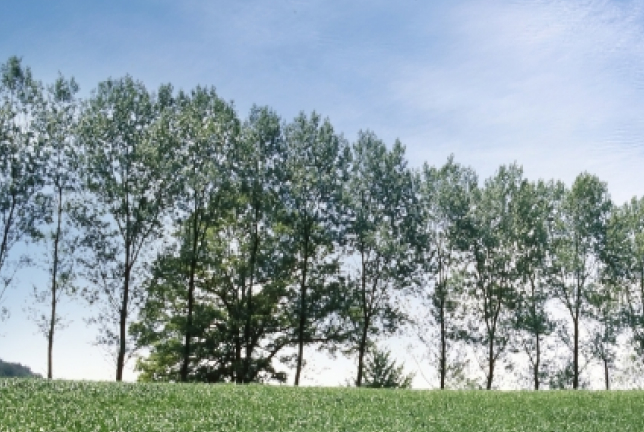 チーズ工房「乳ぃーずの物語。」