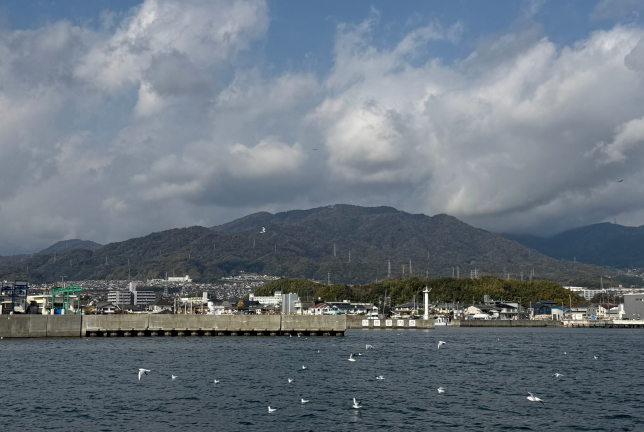 瀬戸内が育てた、広島の牡蠣